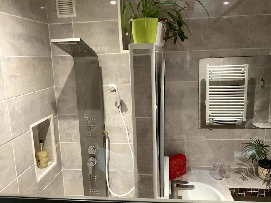Saint-Léonard-de-NoblatLe Passage Du Faubourg, Agreable T3 En Duplex De 120M2公寓 外观 照片