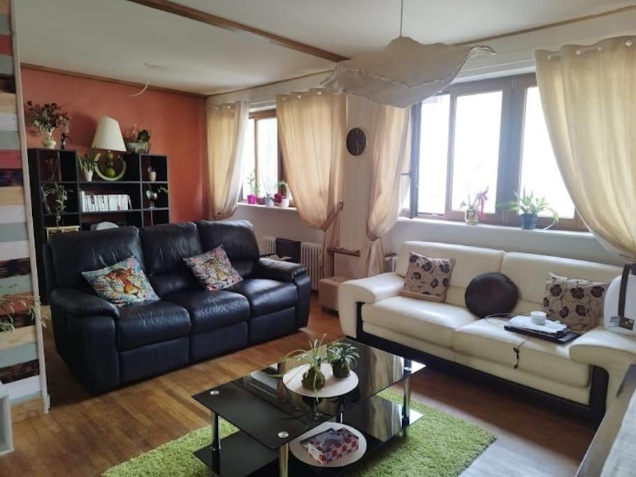 Saint-Léonard-de-NoblatLe Passage Du Faubourg, Agreable T3 En Duplex De 120M2公寓 外观 照片